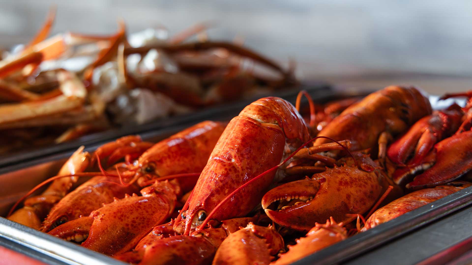 LOBSTER BUFFET