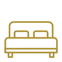 Fantasy King Icon