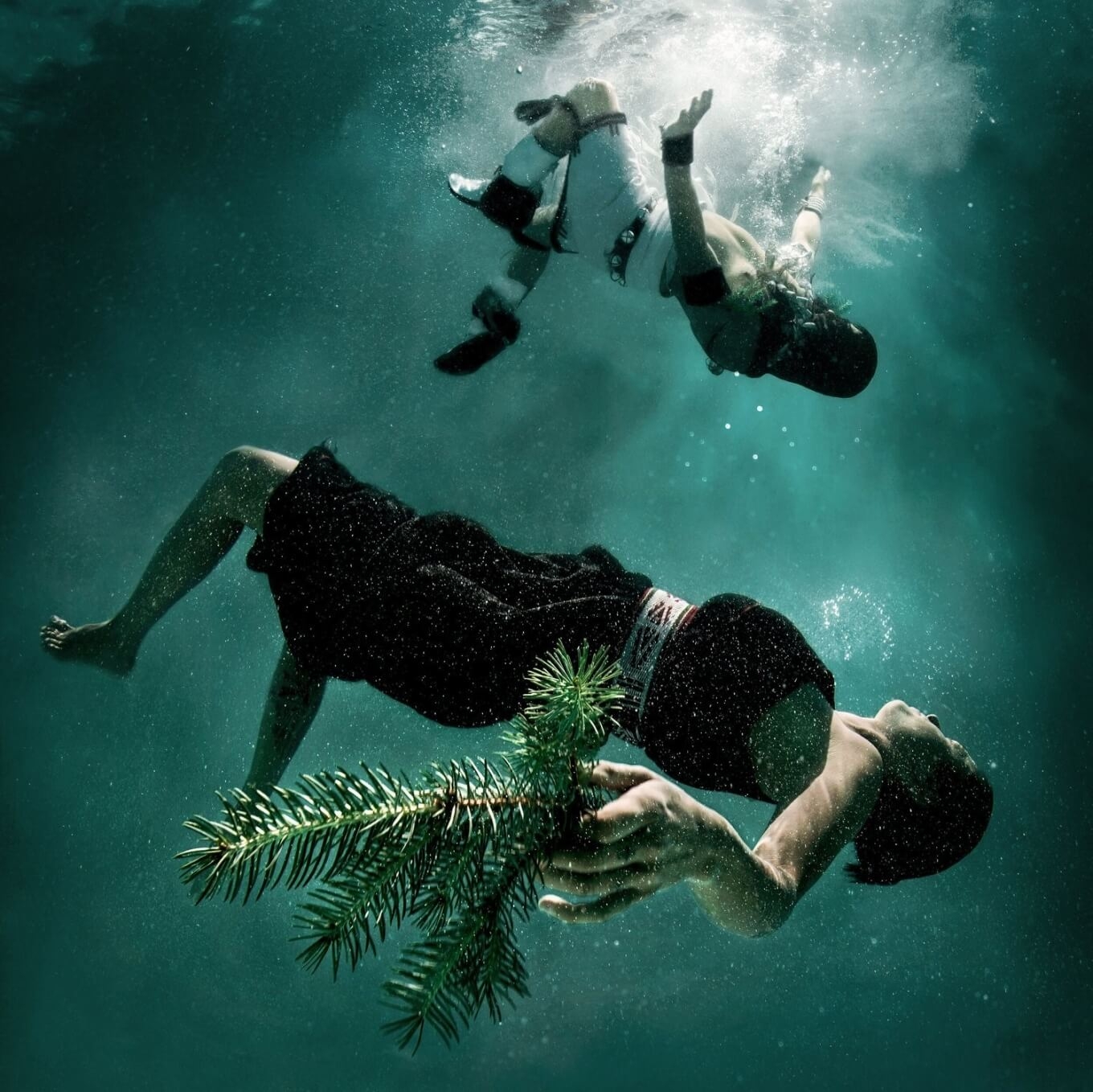 Palms Art: Water Memory | 2015