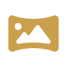 Palms icon - views