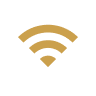 Palms icon - wifi
