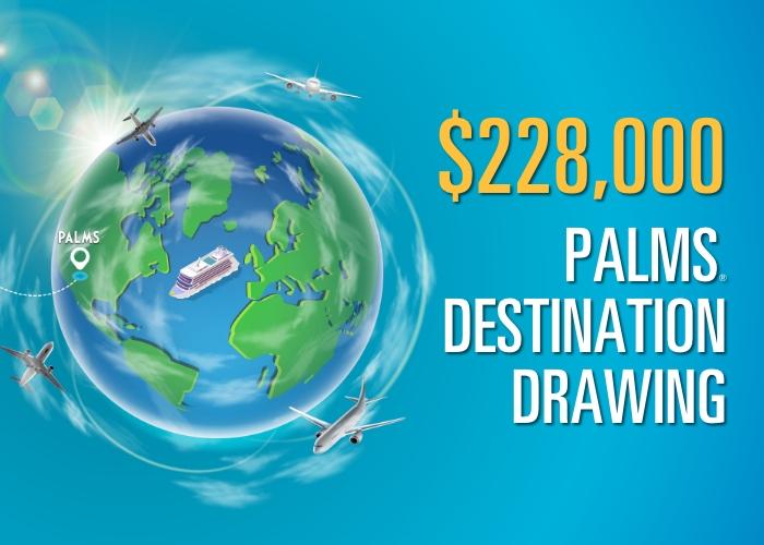 Palms Destination Drawing
