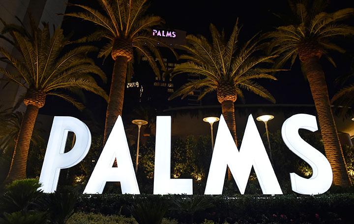 Palms Front