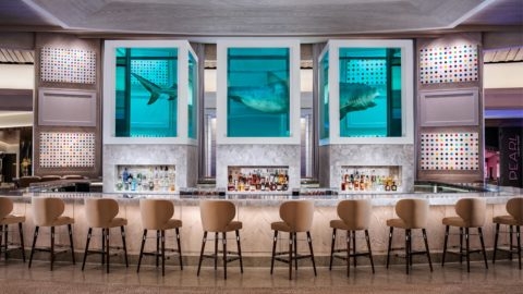 Unknown Bar