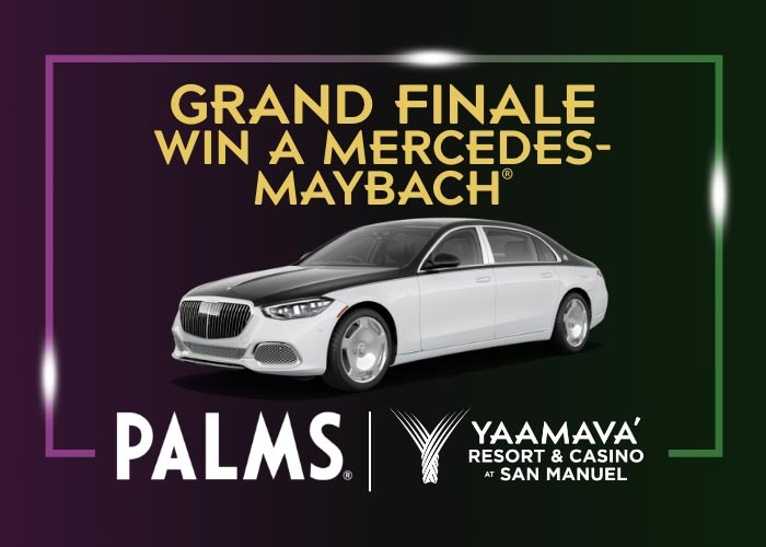 Car for Every Tier Drawing Grand Finale