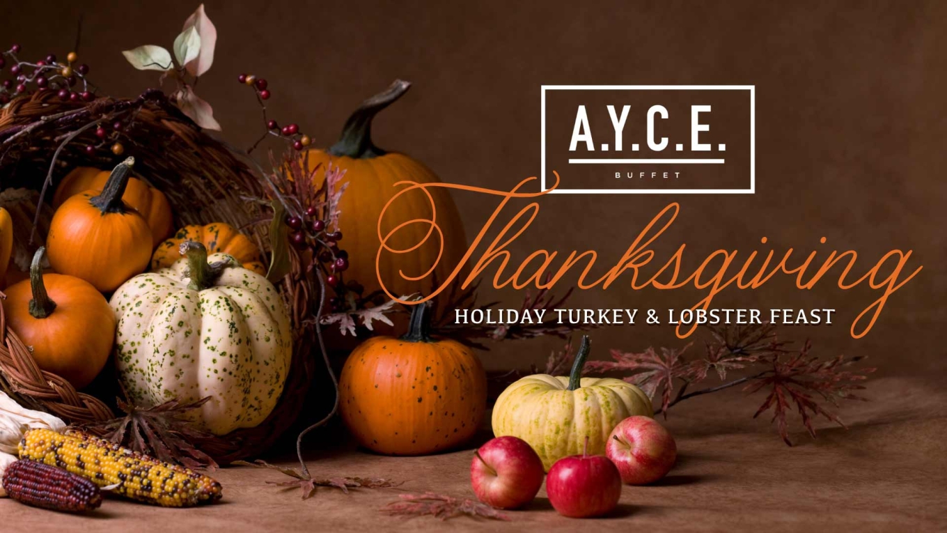 A.Y.C.E. Thanksgiving  