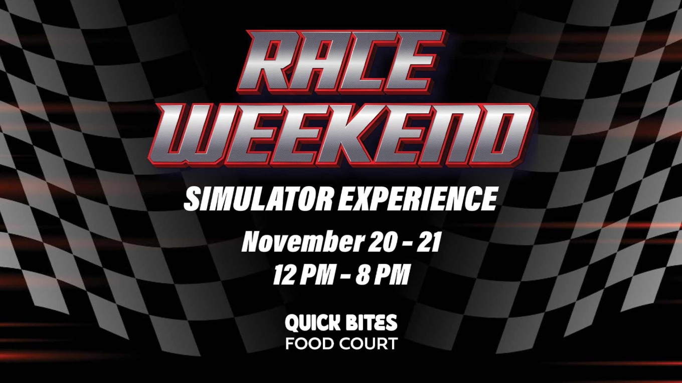 Simulator Experience