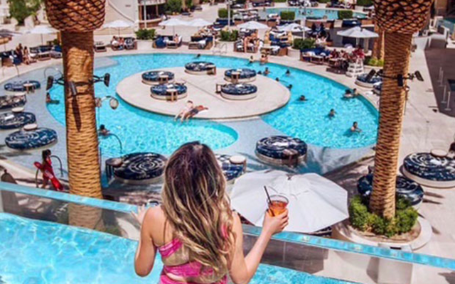 Palms pool